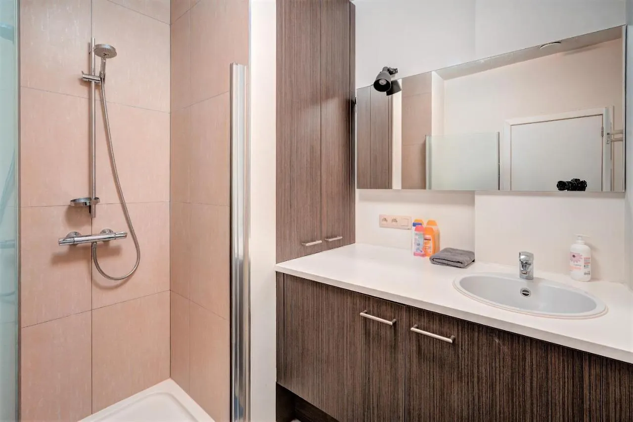 The Theater House Apartments Anversa 0*,  Belgio